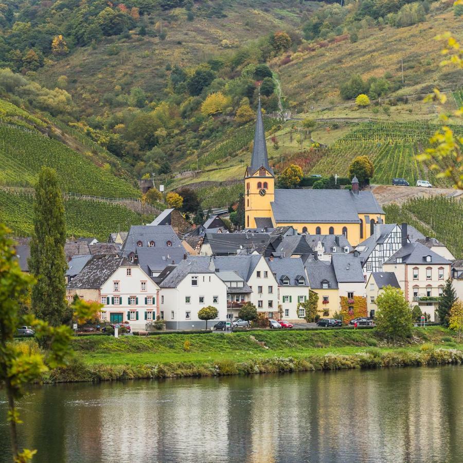 Ferienwohnung Haus Steffen Zeltingen-Rachtig Eksteriør bilde